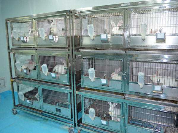 實驗室動物（wù）房（fáng）臭氣處理方法