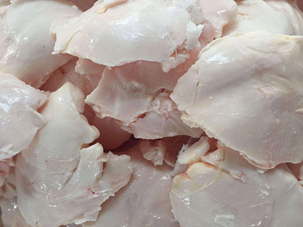 動物油脂煉油廢氣處理方法