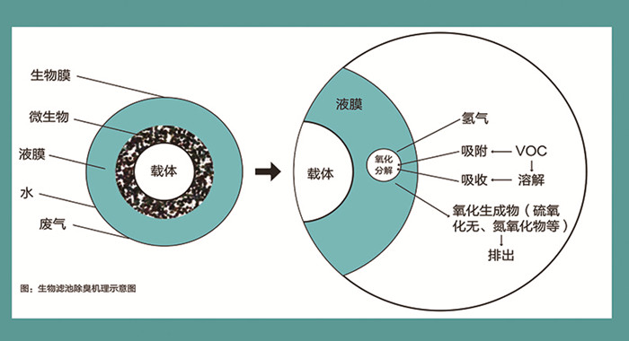 生物除臭工作原理（lǐ）
