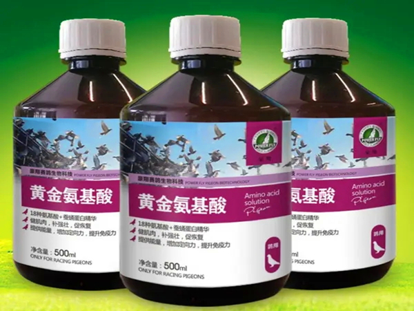 氨基酸廢（fèi）氣怎麽處理（lǐ）