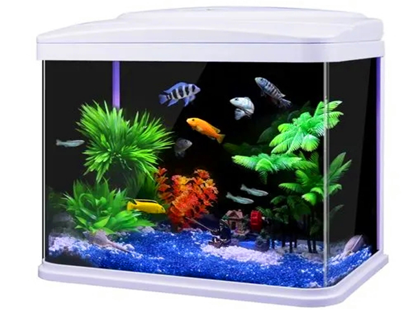 水族箱廢氣處理方（fāng）法
